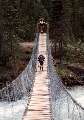 Swinging Bridge on Robson BackPack Trip