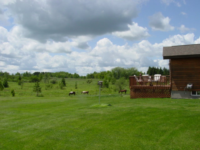 The Ranch
