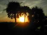 Venice Sunset