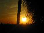 Venice Sunset - Later