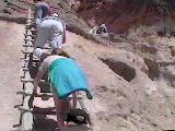 Ladders to Bandolier Kiva