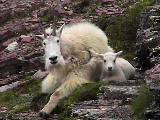 Mom & Kid