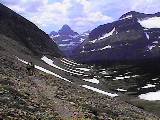 Siyeh Pass view of Mt Reynolds - Glacier 98