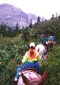Coming back from Grinnell lake - Glacier 96