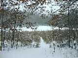 Winter Pond - Battle Creek 1-2-99