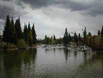 Cottonwood Creek, the outlet of Jenny Lake